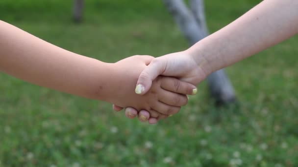 Crianças Pequenas Apertando Mãos — Vídeo de Stock