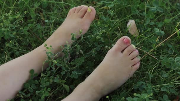 Девушка Ноги Траве Закрыть — стоковое видео