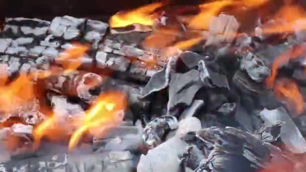 Firewood Burning Grill Frying Marshmallows — Vídeo de Stock