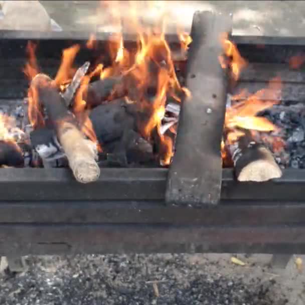 Yakacak Odunları Olan Şenlik Ateşi Yakın — Stok video