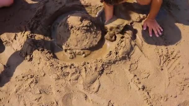 Cropped View Children Playing Wet Sand — Stok Video