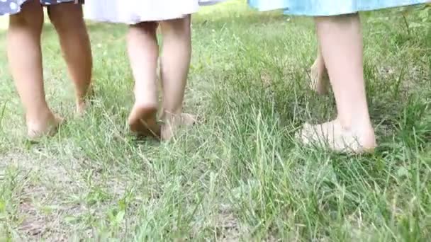 Nahaufnahme Nackter Kinderbeine Die Gras Gehen — Stockvideo