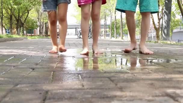 Nahaufnahme Nackter Kinderfüße Kinder Nach Regen Park — Stockvideo