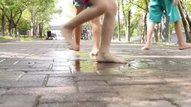 Закрыть Босые Детские Ноги Детей Парке После Дождя — стоковое видео