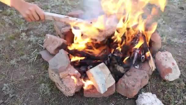 Baking Meat Bonfire Close — Vídeo de Stock