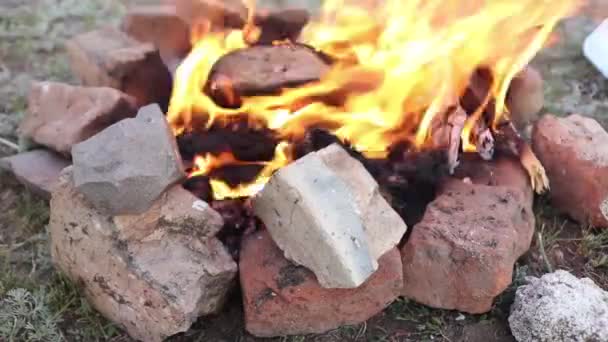 Baking Meat Bonfire Close — Vídeo de Stock