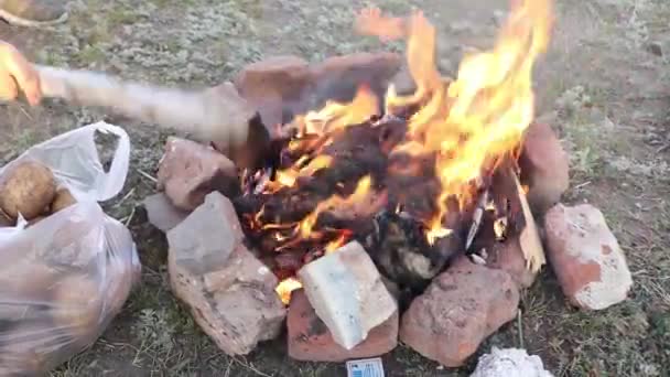 Person Baking Potatoes Bonfire — Stockvideo