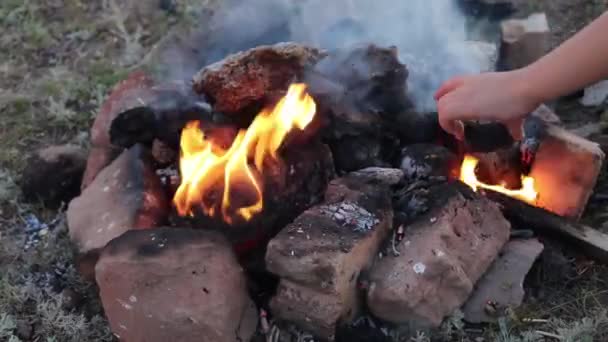 在篝火中烤土豆的人 — 图库视频影像