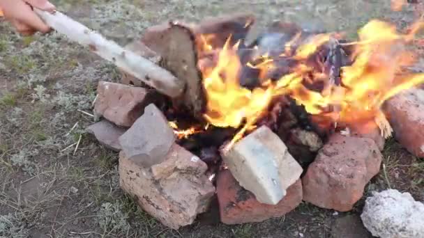 烤肉篝火 — 图库视频影像