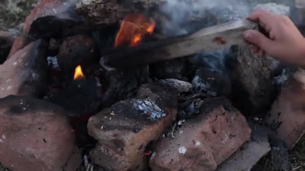 Osoba Pieczenia Ziemniaków Węgiel Drzewny — Wideo stockowe