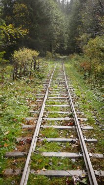 Kavisli demiryolu rayları çalıların ve ağaçların arasından geçip sağa dönüyor. Tahta, kereste ve ağaçlar için endüstriyel demiryolu hattı. Sisli hava