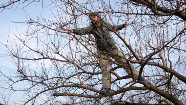 Девушка Стоит Ветвях Дерева Отрезает Побеги Садовыми Ножницами Другая Рука — стоковое видео
