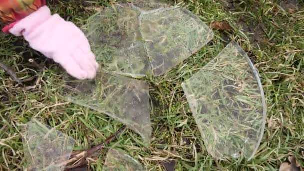 Des Fragments Glace Tombés Sur Herbe Sont Rassemblés Dans Une — Video