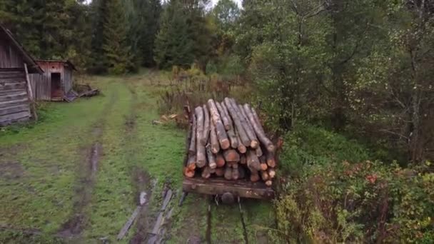 Une Voiture Avec Des Troncs Arbre Trouve Une Impasse Chemin — Video