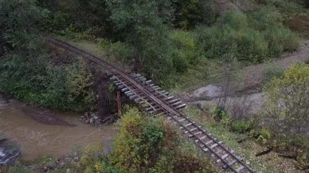 Old Dilapidated Railway Bridge Built River Forest Aerial View — Stock Video