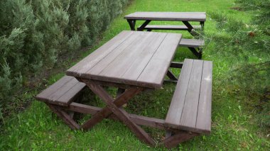 Piknik için koltukları olan bir masa ve dinlenme ağaçların arasındaki yeşil çayırda duruyor..