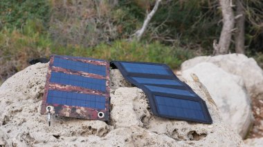 Kertenkele bir kayaya tırmandı ve güneş panellerine baktı.