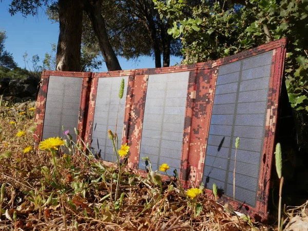 Solar panel for tourism among the grass at sunrise