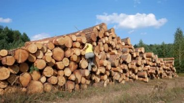 Kız, gökyüzünün arka planına karşı en tepeye kadar yığılmış ahşap kütüklerin üzerinde bulutlarla tırmanıyor.