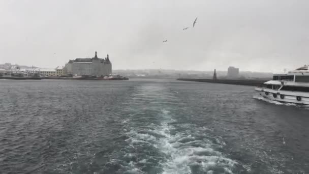 Footage Historical Haydarpaa Train Station Harbor Flying Seagulls Snowy Day — Stock Video