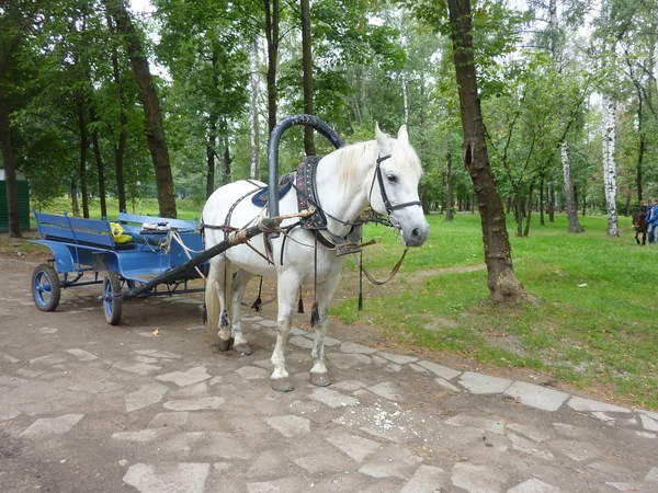 Koń ciągnięty przez wagon — Zdjęcie stockowe