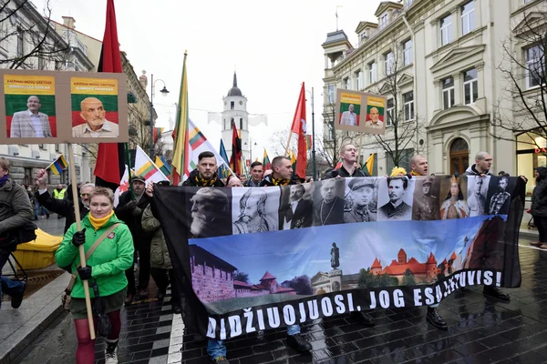 Митинг националистов в Вильнюсе — стоковое фото