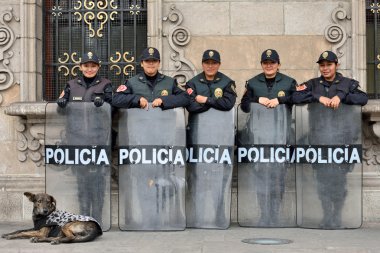Polis Merkezi kare koruma