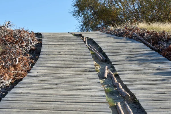 Ξύλινο Μονοπάτι Που Οδηγεί Μέσα Από Αμμόλοφους Στο Φυσικό Καταφύγιο — Φωτογραφία Αρχείου