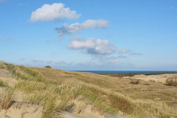 Dune Grigio Sabbia Allo Sputo Curoniano Nida Neringa Lituania — Foto Stock