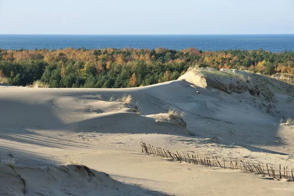 Dune Grigio Sabbia Allo Sputo Curoniano Nida Neringa Lituania — Foto Stock