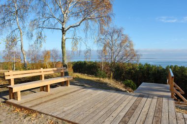 Nida, Curonian Spit, Litvanya yakınlarındaki Nagliai Doğa Koruma Alanı 'nda yol alan tahta bank.