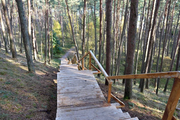 Holztreppen Natürlicher Pfad Zum Wandern Oder Trekking Auf Einen Hügel — Stockfoto