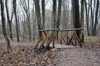 Sonbahar manzarası - Sonbahar parkında ahşap köprü 