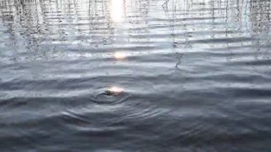 Bokeh güneşi su yüzeyine yansıyor. Güneş ışınları su akıntısında titreşiyor.. 