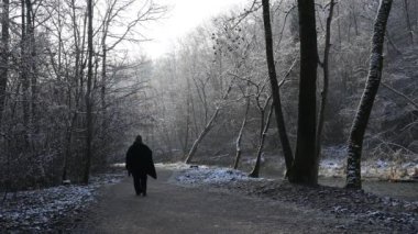 İnsanlar kışın parkta yürüyorlar.