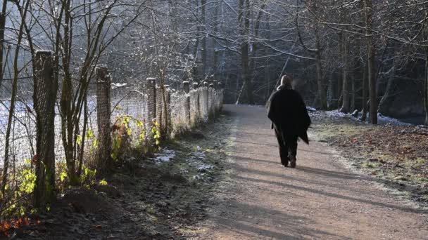 Άνθρωποι Περπατούν Ένα Πάρκο Χειμώνα — Αρχείο Βίντεο