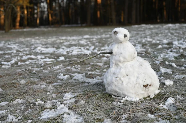 Parktaki Çirkin Kardan Adam Kış Konsepti — Stok fotoğraf