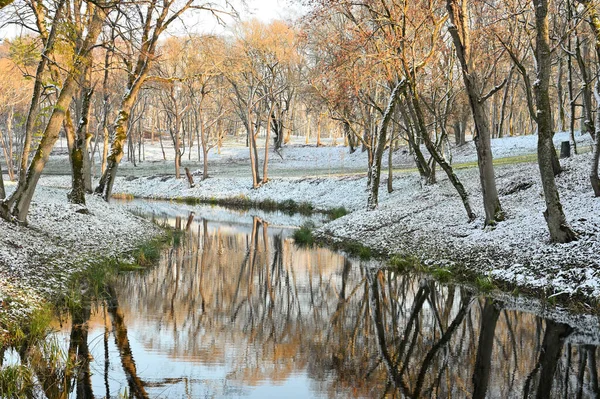 Vidéki Tükröződése Fák Télen — Stock Fotó