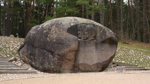 Anyksciai Lithuania December Second Largest Boulder Lithuania Puntukas December 2020 — Stock Video