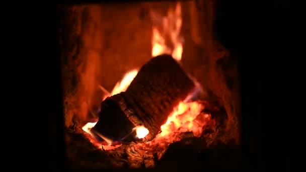 Plamen Kamen Tmě Spalování Dřeva Ohnivý Plamen Venkovská Trouba Hořící — Stock video