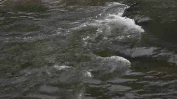 Rifa Agua Del Río Montaña Flujo Rápido Entre Rocas Bajo — Vídeos de Stock