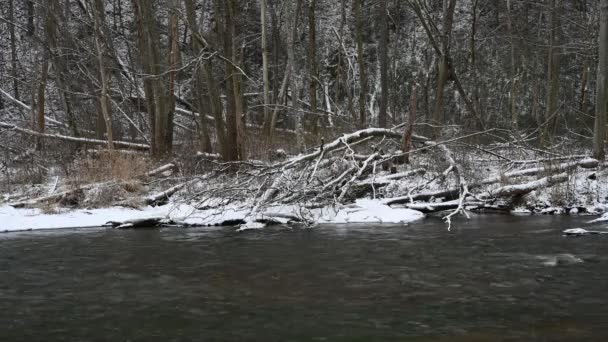 Kleiner Fluss Park Winter Das Ufer Des Flusses Ist Mit — Stockvideo