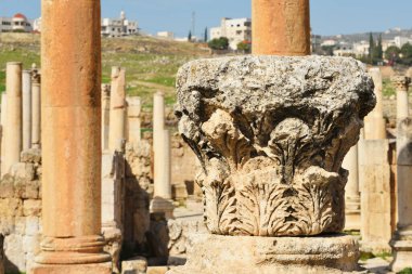 Ürdün 'ün Jerash kentindeki harabe Greko-Romen şehri Gerasa' ya yakın çekim