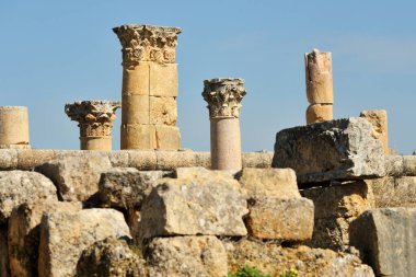 Ürdün 'ün Jerash kentindeki harabe Greko-Roma şehri Gerasa sütunları