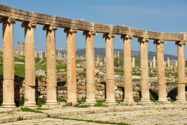 Ürdün 'ün Jerash kentindeki harabe Greko-Roma şehri Gerasa sütunları