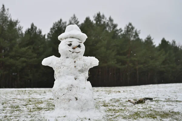 Şehir Parkında Bulutlu Bir Kış Günü Kardan Adam — Stok fotoğraf