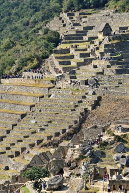 Machu Picchu, PeEru - 02 Eylül 2016: Machu Picchu sahasında turistler yürüyüş yapıyor. Machu Picchu, Unesco Dünya Mirası Bölgesi ve Dünyanın Yeni 7 Harikası.