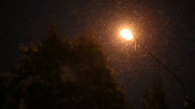 Kış gecesi sokak lambalarının önüne kar yağıyor. Yavaş çekim