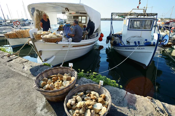 Chania Grecia Agosto Personas Desconocidas Comercian Esponjas Naturales Chania Creta — Foto de Stock