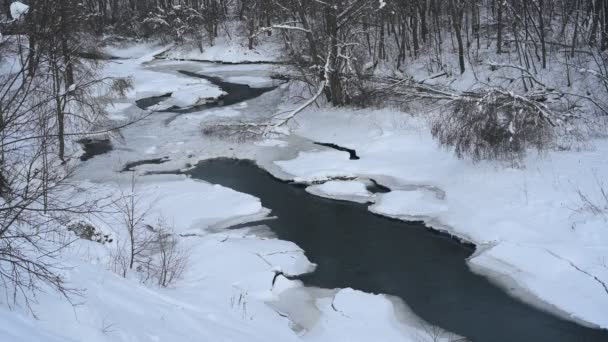 Pohled Malou Zamrzlou Řeku Městském Parku Zimní Krajina — Stock video